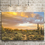 Arizona Desert, Sonoran Desert Canvas Prints Wall Art Home Decor - Painting Canvas, Ready to hang