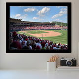 Arkansas Razorbacks Wall Art Baum Walker Stadium Art Prints,Sport Stadium Art Prints, Fan Gift, Wall Decor