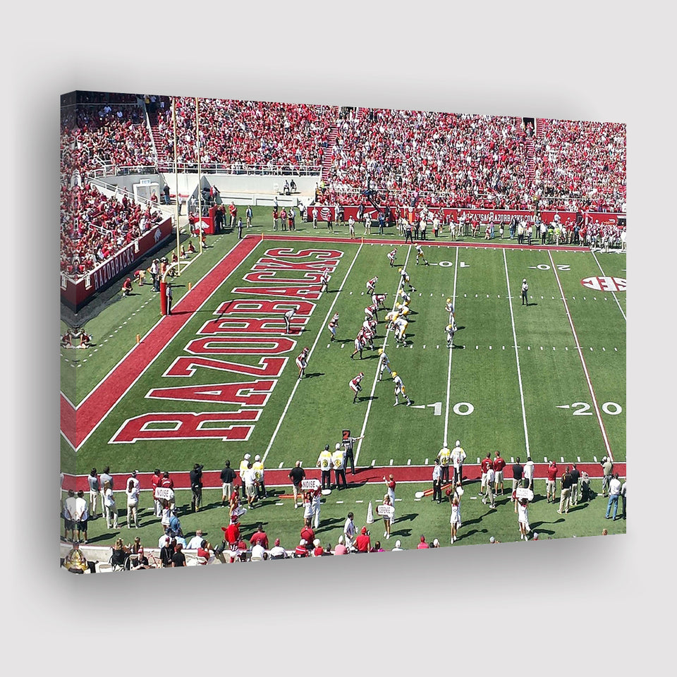 Arkansas Razorbacks Wall Art Donald W Reynolds Stadium,Sport Stadium Art Prints, Fan Gift, Wall Decor