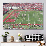 Arkansas Razorbacks Wall Art Donald W Reynolds Stadium,Sport Stadium Art Prints, Fan Gift, Wall Decor