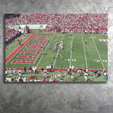 Arkansas Razorbacks Wall Art Donald W Reynolds Stadium,Sport Stadium Art Prints, Fan Gift, Wall Decor