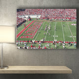 Arkansas Razorbacks Wall Art Donald W Reynolds Stadium,Sport Stadium Art Prints, Fan Gift, Wall Decor