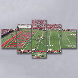 Arkansas Razorbacks Wall Art Donald W Reynolds Stadium,Multi Panels,Sport Stadium Art Prints, Fan Gift