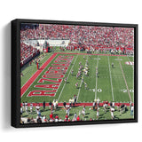 Arkansas Razorbacks Wall Art Donald W Reynolds Stadium,Sport Stadium Art Prints, Fan Gift