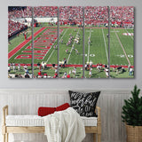 Arkansas Razorbacks Wall Art Donald W Reynolds Stadium,Multi Panels B,Sport Stadium Art Prints, Fan Gift