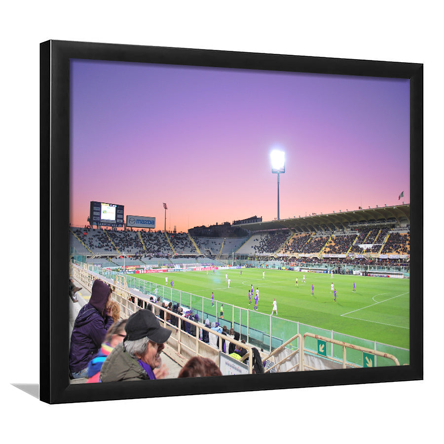 Artemio Franchi Stadium in Florence, Stadium Canvas, Sport Art, Gift for him, Framed Art Prints Wall Art Decor, Framed Picture