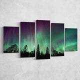 Aurora Polaris Winter Forest Canvas Art, Northern Lights Photo Multi Panels,Canvas Prints Wall Art Home Decor