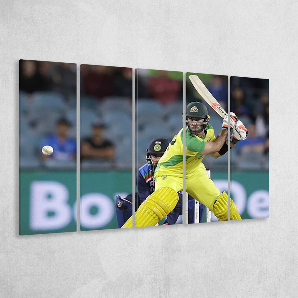 Australian Captain, Stadium Canvas, Sport Art, Gift for him, Multi Panels B, Canvas Prints Wall Art Decor