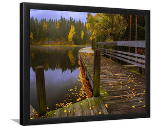 Autumn Day On The Lake-Forest art, Art print, Plexiglass Cover