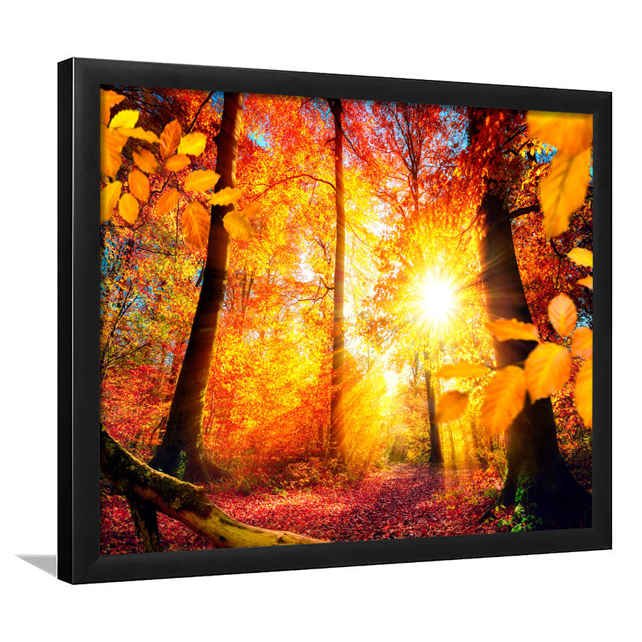 Autumn Forest Framed Art Prints Wall Art Decor, Framed Picture, Home Decor
