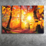 Autumn Forest Canvas Prints Wall Art Decor - Painting Canvas,Home Decor, Ready to Hang