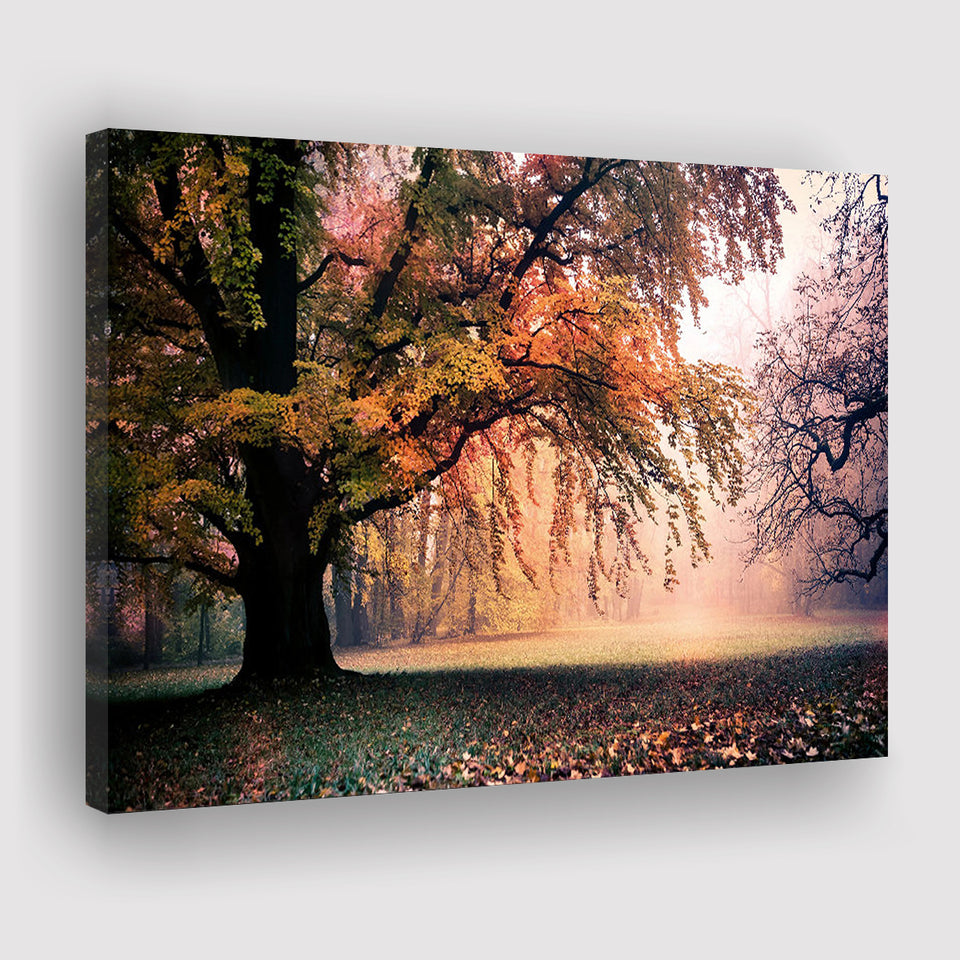 Autumn Oak Tree Nature Foliage Forest Orange Leaves Landscape Canvas Prints Wall Art Decor - Painting Canvas,Home Decor