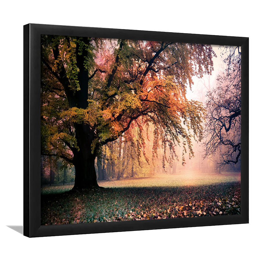 Autumn Oak Tree Nature Foliage Forest Orange Leaves Landscape Framed Art Prints Wall Art Decor, Framed Picture, Home Decor