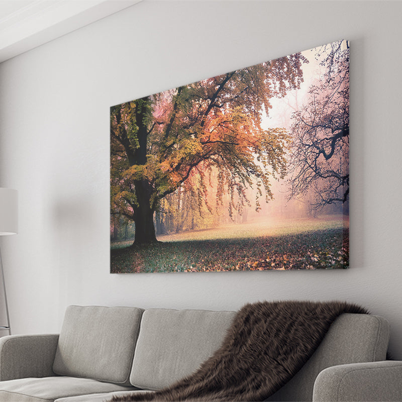 Autumn Oak Tree Nature Foliage Forest Orange Leaves Landscape Canvas Prints Wall Art Decor - Painting Canvas,Home Decor