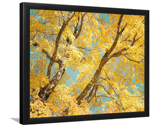 Autumn Tapestry III-Forest art, Art print, Plexiglass Cover
