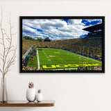 Autzen Stadium Field, Stadium Canvas, Sport Art, Gift for him, Framed Canvas Prints Wall Art Decor, Framed Picture