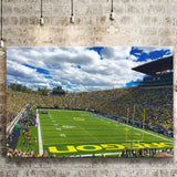 Autzen Stadium Field, Stadium Canvas, Sport Art, Gift for him, Fan Gift, Canvas Prints Wall Art Decor