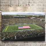 Autzen Stadium Interior, Stadium Canvas, Sport Art, Gift for him, Fan Gift, Canvas Prints Wall Art Decor