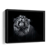 BW Tiger Head Canvas Wall Art - Framed Art, Prints For Sale, Painting For Sale, Framed Canvas, Painting Canvas