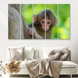 Baby Monkey 5 Pieces B Canvas Prints Wall Art - Painting Canvas, Multi Panel, Wall Decor, Canvas Art