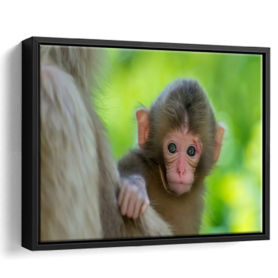 Baby Monkey Framed Canvas Prints Wall Art - Painting Canvas, Wall Decor, Canvas Art, Floating Frame