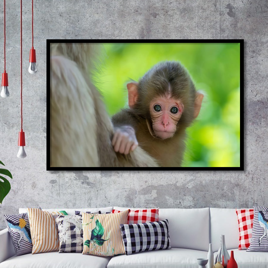 Baby Monkey Framed Art Prints Wall Decor - Painting Prints, Wall Art, Framed Picture, Black Frame