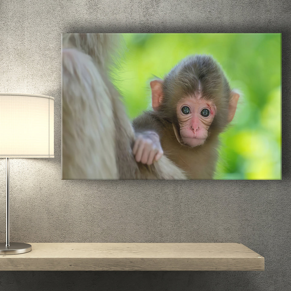 Baby Monkey Canvas Prints Wall Art - Painting Canvas, Wall Decor, Canvas Art, For Sale