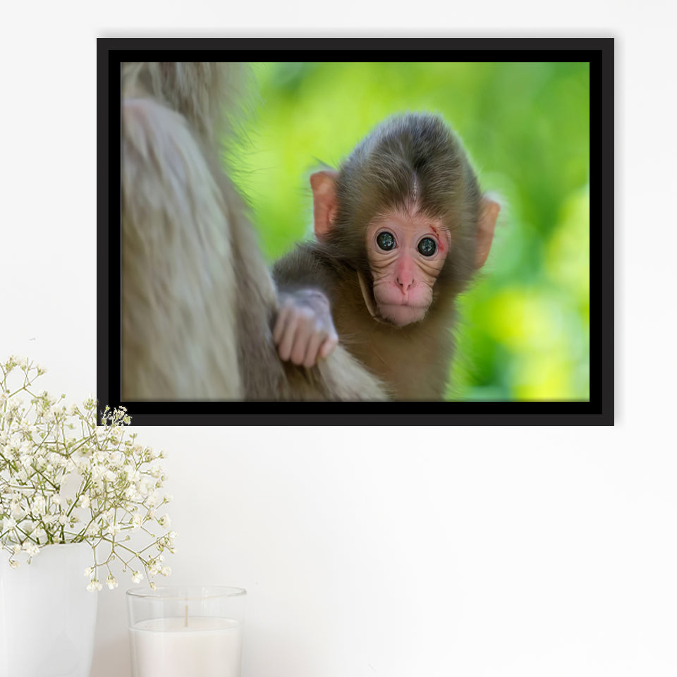 Baby Monkey Framed Canvas Prints Wall Art - Painting Canvas, Wall Decor, Canvas Art, Floating Frame