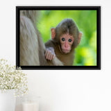Baby Monkey Framed Canvas Prints Wall Art - Painting Canvas, Wall Decor, Canvas Art, Floating Frame