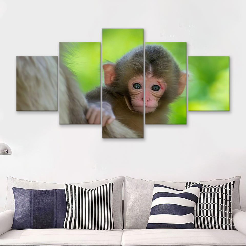 Baby Monkey 5 Pieces Canvas Prints Wall Art - Painting Canvas, Multi Panel, Wall Decor, Canvas Art