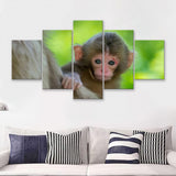 Baby Monkey 5 Pieces Canvas Prints Wall Art - Painting Canvas, Multi Panel, Wall Decor, Canvas Art
