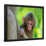 Baby Monkey Framed Art Prints Wall Decor - Painting Prints, Wall Art, Framed Picture, Black Frame