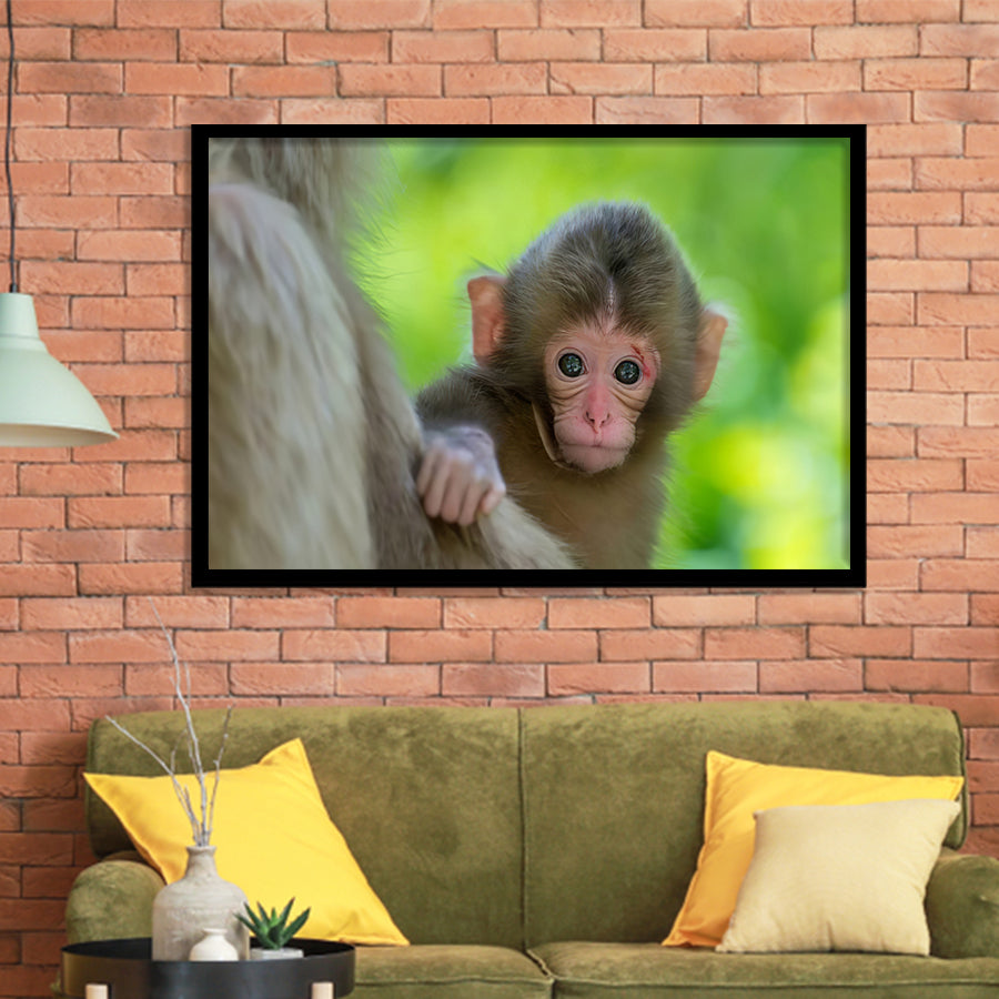 Baby Monkey Framed Art Prints Wall Decor - Painting Prints, Wall Art, Framed Picture, Black Frame
