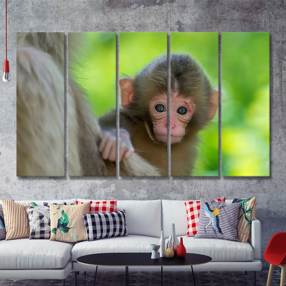 Baby Monkey 5 Pieces B Canvas Prints Wall Art - Painting Canvas, Multi Panel, Wall Decor, Canvas Art