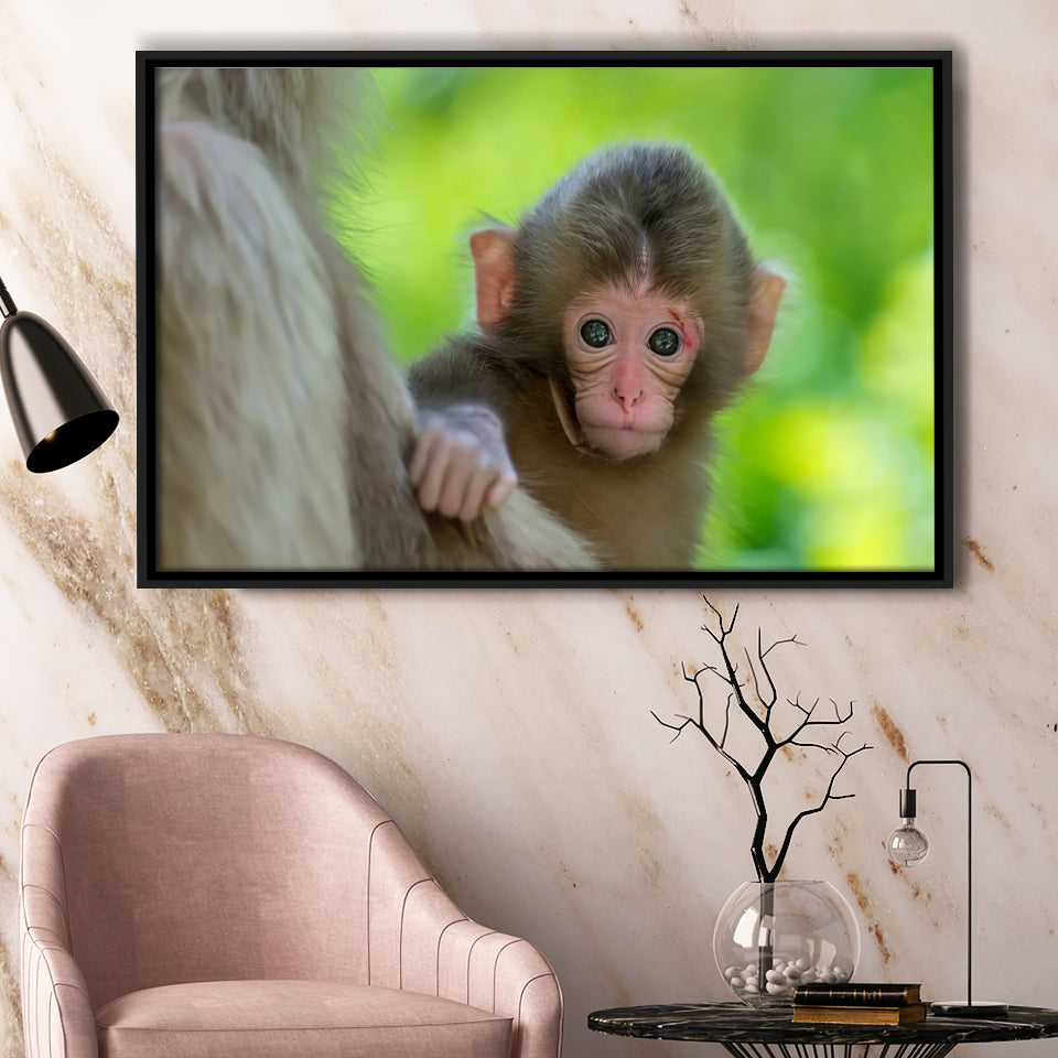 Baby Monkey Framed Canvas Prints Wall Art - Painting Canvas, Wall Decor, Canvas Art, Floating Frame