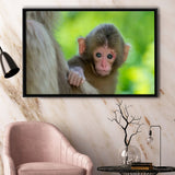 Baby Monkey Framed Canvas Prints Wall Art - Painting Canvas, Wall Decor, Canvas Art, Floating Frame