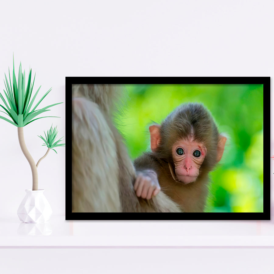 Baby Monkey Framed Art Prints Wall Decor - Painting Prints, Wall Art, Framed Picture, Black Frame