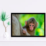 Baby Monkey Framed Art Prints Wall Decor - Painting Prints, Wall Art, Framed Picture, Black Frame