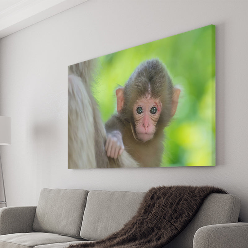 Baby Monkey Canvas Prints Wall Art - Painting Canvas, Wall Decor, Canvas Art, For Sale