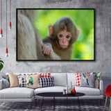 Baby Monkey Framed Canvas Prints Wall Art - Painting Canvas, Wall Decor, Canvas Art, Floating Frame