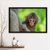 Baby Monkey Framed Canvas Prints Wall Art - Painting Canvas, Wall Decor, Canvas Art, Floating Frame