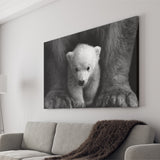 Baby Polar Bear, Animal Black And White, Canvas Prints Wall Art Home Decor
