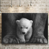 Baby Polar Bear, Animal Black And White, Canvas Prints Wall Art Home Decor