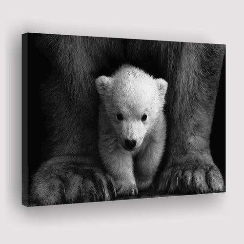 Baby Polar Bear, Animal Black And White, Canvas Prints Wall Art Home Decor