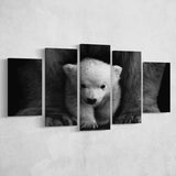 Baby Polar Bear, Animal Black And White, Multi Panels, 5 Pieces, Canvas Prints Wall Art Home Decor