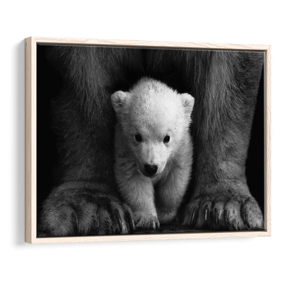 Baby Polar Bear, Animal Black And White, Framed Canvas Prints Wall Art Home Decor,Floating Frame, Ready to Hang
