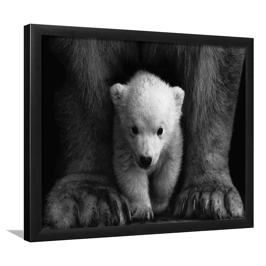 Baby Polar Bear, Animal Black And White, Framed Art Prints Wall Art Home Decor, Ready to Hang