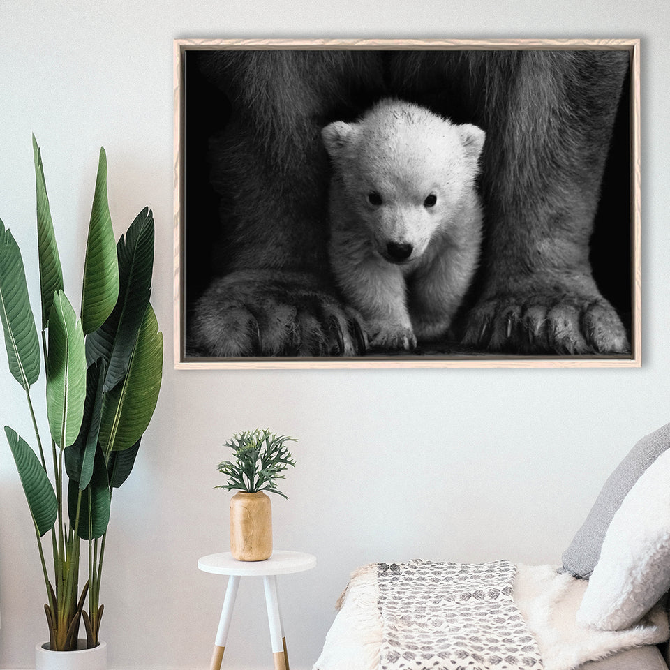 Baby Polar Bear, Animal Black And White, Framed Canvas Prints Wall Art Home Decor,Floating Frame, Ready to Hang