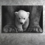 Baby Polar Bear, Animal Black And White, Canvas Prints Wall Art Home Decor