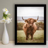 Baby highland cow portrait Framed Art Prints Wall Decor - Painting Prints, Framed Picture
